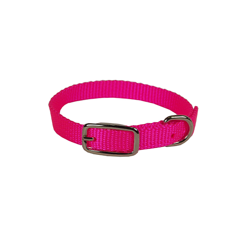 Hamilton® Sherbet Collection Single Deluxe Nylon Collar