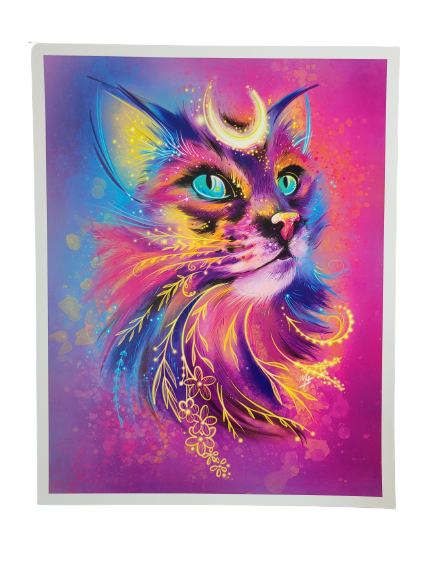 AFFICHE CHAT