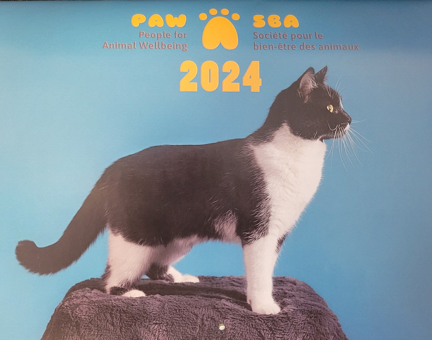 2024 Photo Calendar