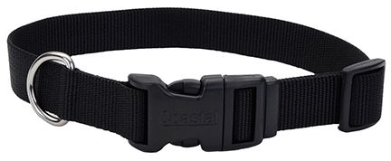 Coastal Adjustable Nylon Collar w Tuff Buckle