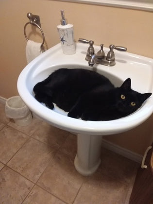 Luna