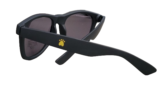 lunettes de soleil PATTE