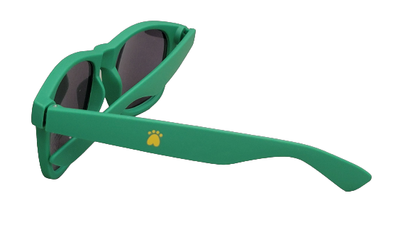 lunettes de soleil PATTE