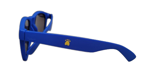 lunettes de soleil PATTE