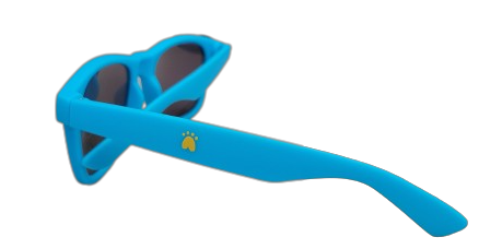 lunettes de soleil PATTE