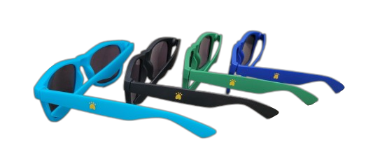 lunettes de soleil PATTE