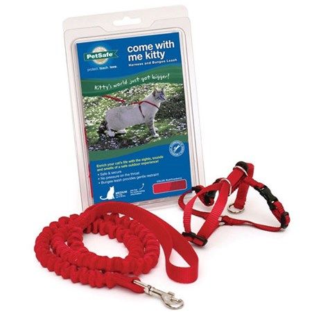 Petsafe Come With Me Kitty Harness And Bungee Leash