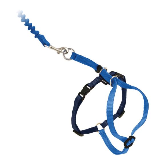 Petsafe Come With Me Kitty Harness And Bungee Leash