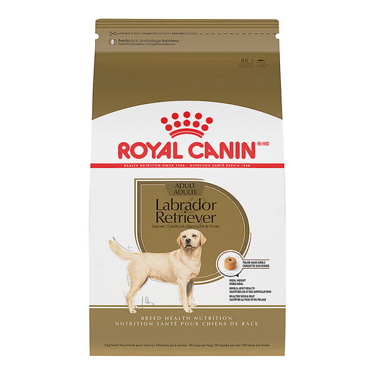 Royal Canin Labrador Retriever Adult