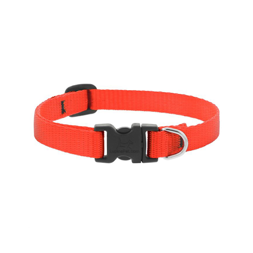 Lupine® Basics Adjustable Collar for Dogs