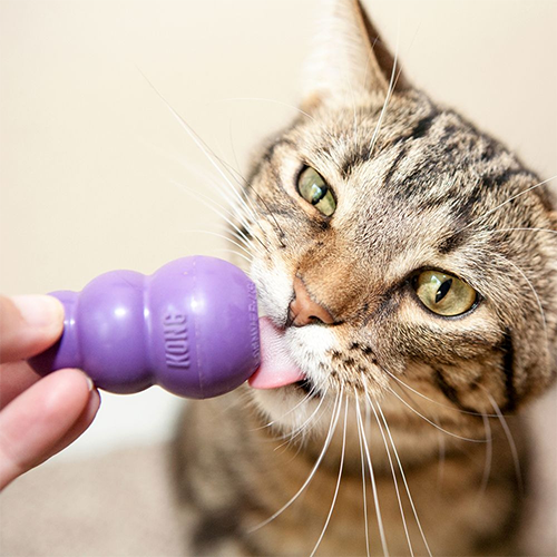 KONG® KITTY KONG® CAT TOY