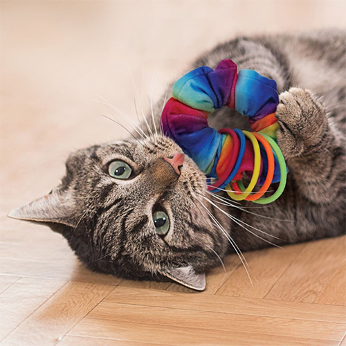 Kong® Active Cat Scrunchie Cat Toy