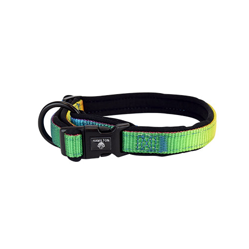 Hamilton® Rainbow Collection for Dogs Adjustable Collar