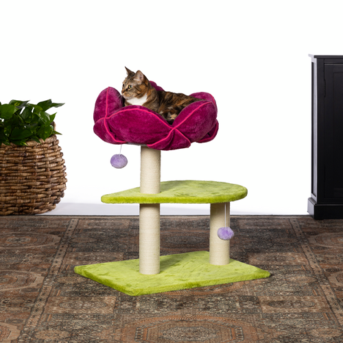 PREVUE HENDRYX™ FLOWER POWER CAT POST