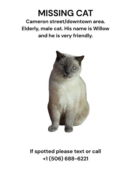Willow
