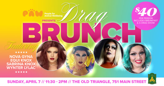 Billets pour le Drag Brunch