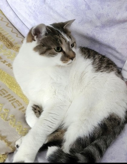 Henry