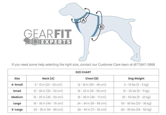 Kurgo Enhanced Strength Tru-Fit Dog Car Harness