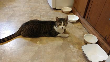 Oscar