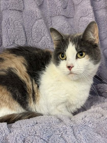Delilah