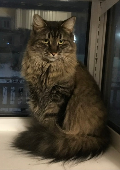 Precious