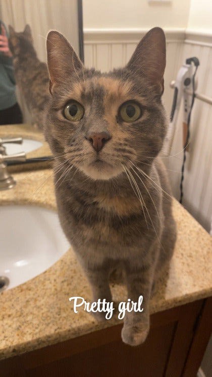 Akela
