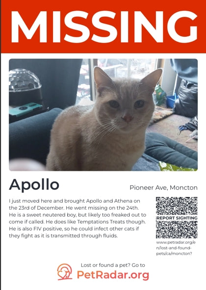 Apollo