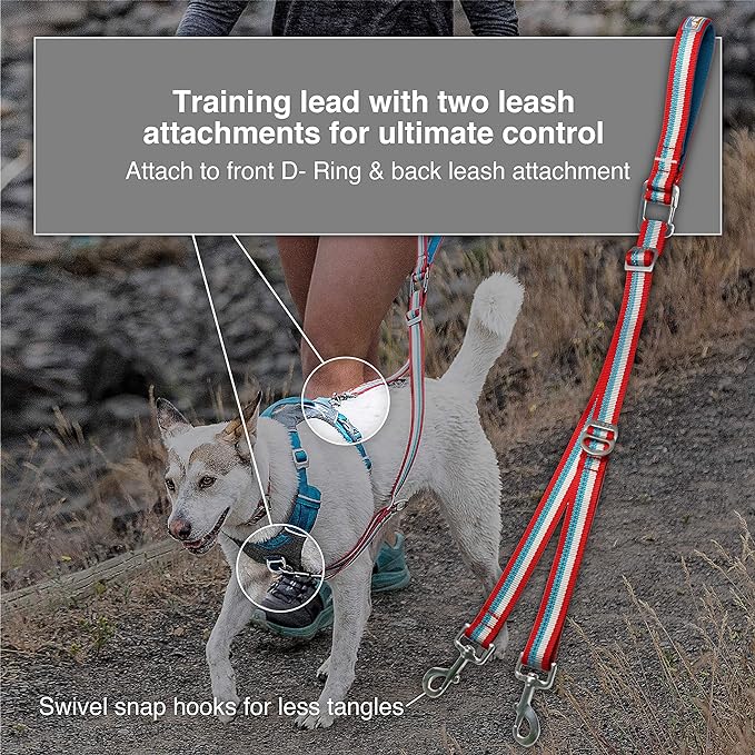 Kurgo Walk About training reins