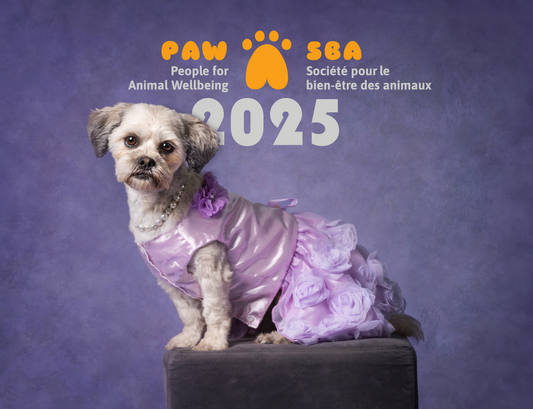 2025 PAW Photo Calendar