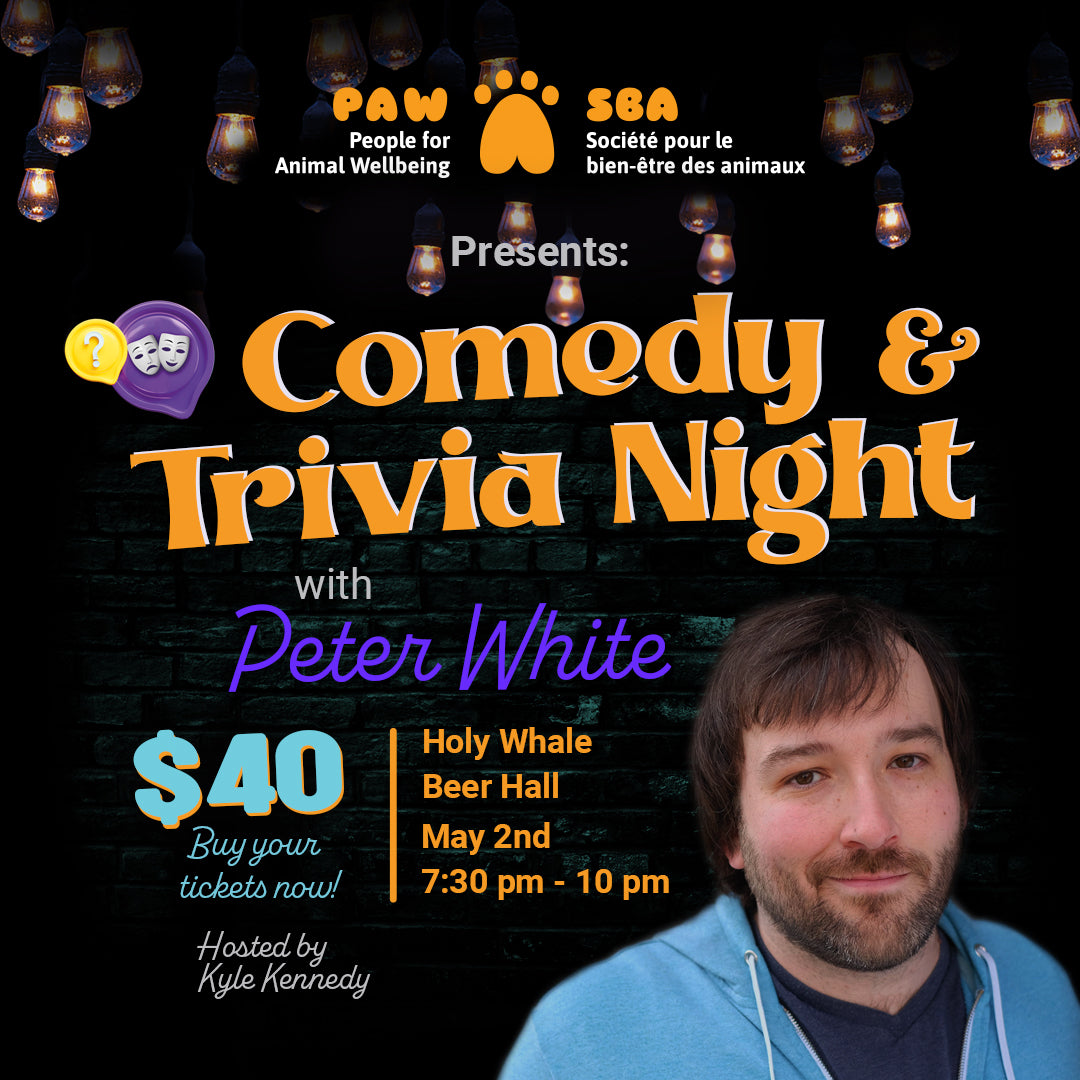 Comedy & Trivia night ticket
