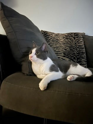 Felix