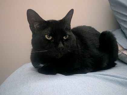 Oliver