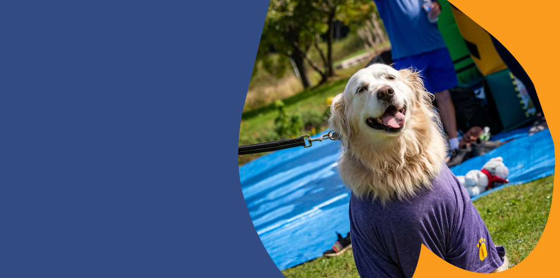 Events – PAW-SBA