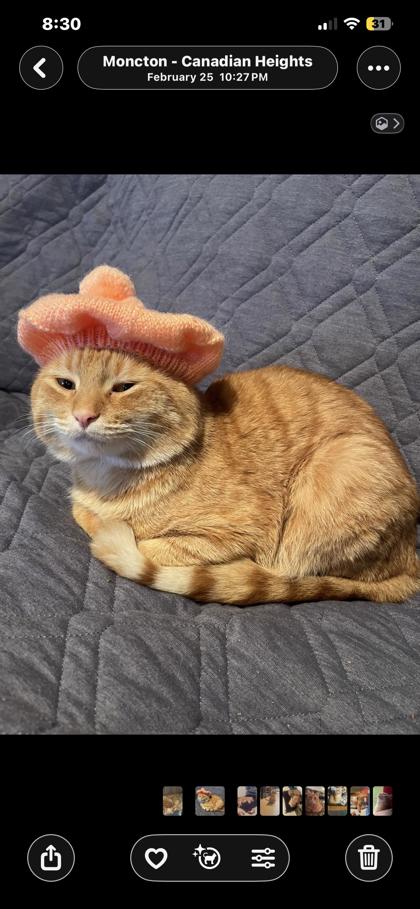 Milo