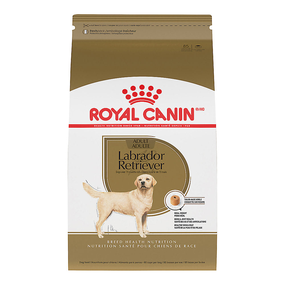 Royal Canin Labrador Retriever Adulte