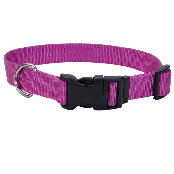 Coastal Adjustable Nylon Collar w Tuff Buckle