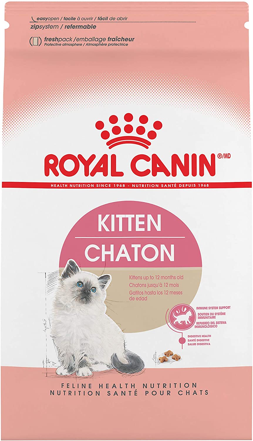 Chaton Royal Canin