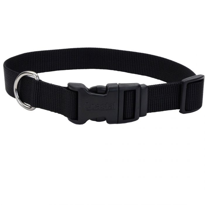 Dog Collar-Black