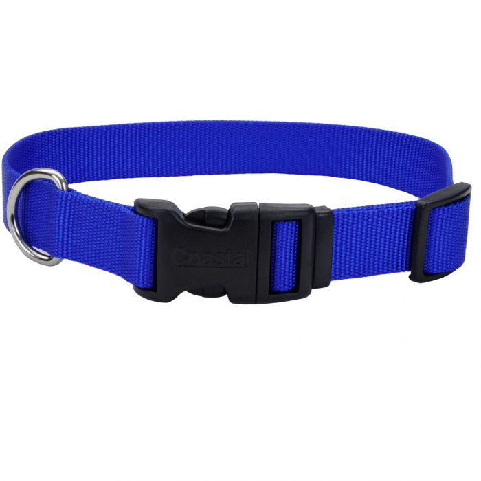Dog Collar-Blue