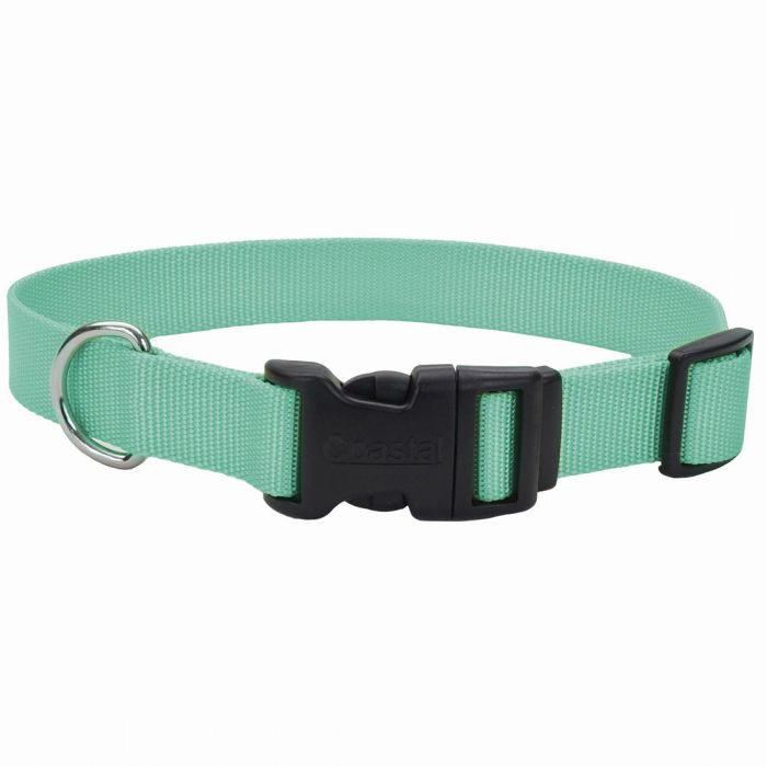 Dog Collar-Teal